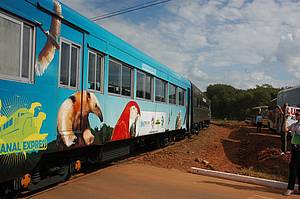 Trem do Pantanal: Passeio volta à ativa depois de 18 anos<br>