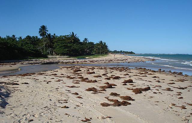 Fim de Tarde na Praia de Itacimirim