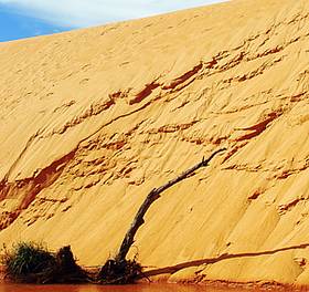 A caminho das dunas