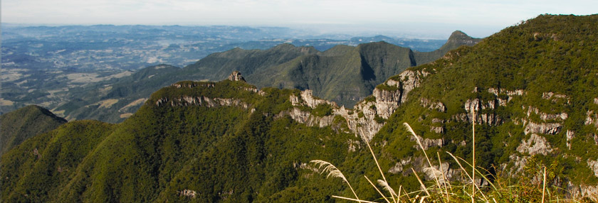 Caindo na estrada