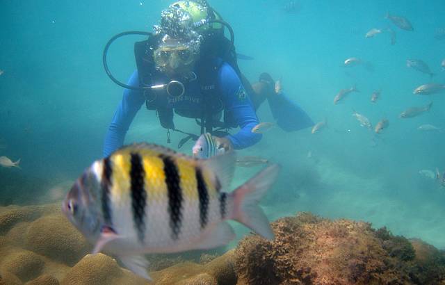 Mergulho com cilindro em Maracajaú 