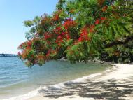 Praia da Catita -Ilha de Jaguanum