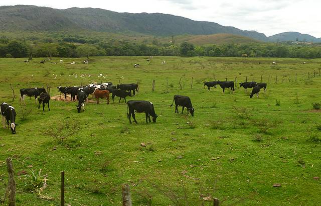 Linda paisagem