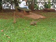 Parque Nacional do Iguau