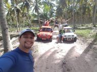 Plantao de cocos no litoral norte