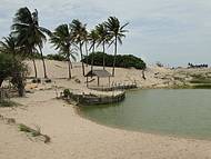 Passeio de buggy nas dunas de Canoa Quebrada