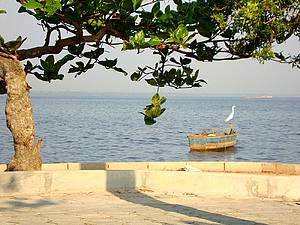 Praia de Piedade: Bucolismo s margens da Baa de Guanabara<br>