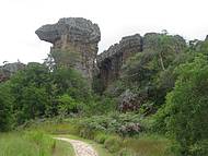 Uma bela paisagem. 