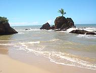 Praia dos Naturistas - O famoso coqueiro