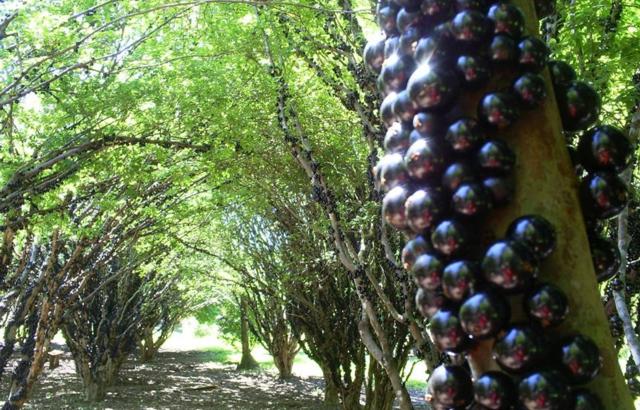 Fazenda Jabuticabal fica em Hidrolândia, a 37km