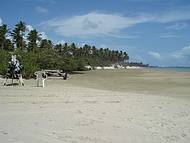 Maravilhosa praia do Litoral de Ipojuca, com uma grande faixa de areia