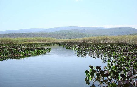 Pantanal da Chapada Diamantina. Nem parece de verdade. 