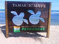 Projeto tamar, Praia do Forte - Tem muita histria sobre as tartarugas