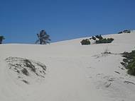 Passeio de Bugui Pelas Dunas