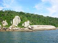 Passeio do barco da praia Armao para a Ilha 