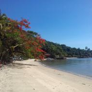 Praia da Catita -Ilha de Jaguanum