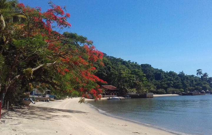 Praia da Catita -Ilha de Jaguanum