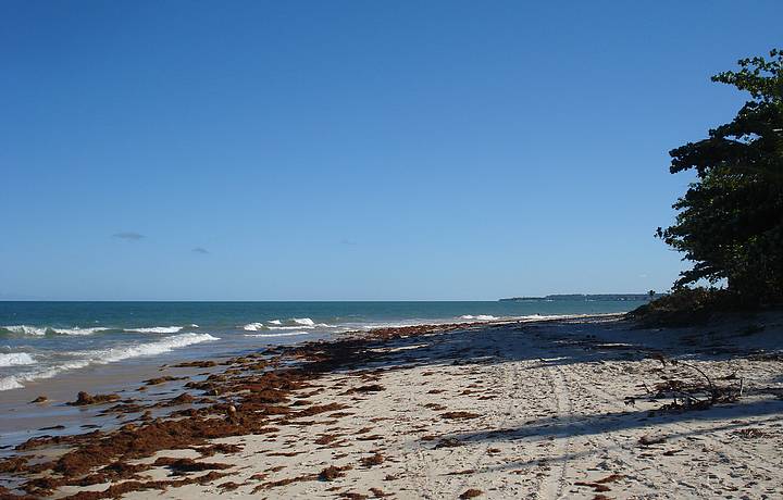 Tarde de Vero em Porto Seguro