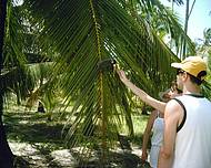 Contato direto com  a natureza. Alimentando os micos. 