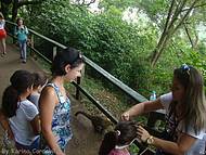 Parque das cataratas - Brasil