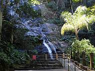 Floresta da Tijuca