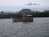 Barco de Pescador no Mangue
