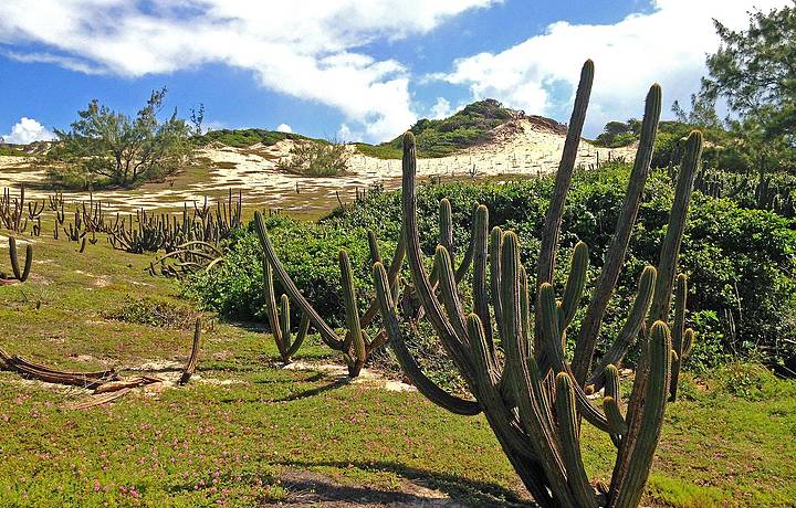 rea  repleta de encantos naturais