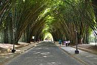 Caminho de Bambu - Entrada do Country