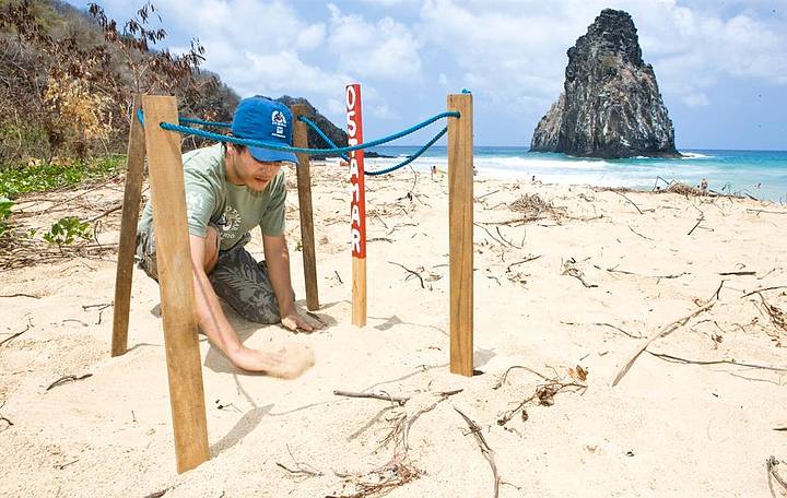 Projeto atua em diversas praias da ilha