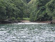 Praia do Funil com campinho de futebol.A menor da Ilha!