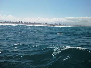 Passeio de barco at a Ilha dos Lobos