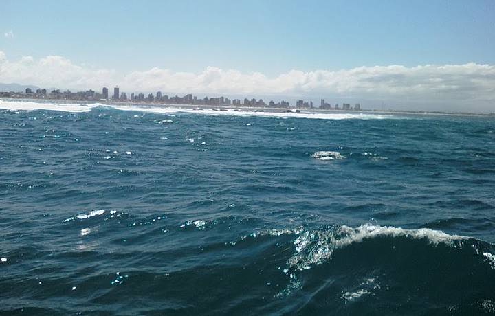 Passeio de barco na ilha dos lobos .