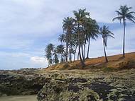 Passeio de bugui para Canoa Quebrada