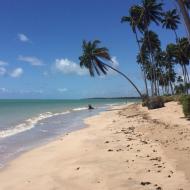 Praia da Lage: cenários paradisíacos 