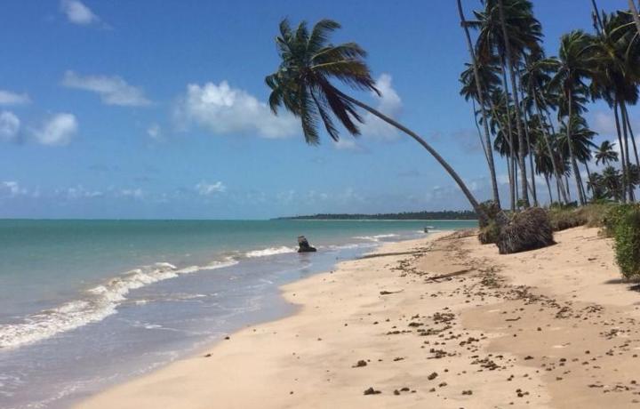 Praia da Lage: cenrios paradisacos 