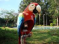 Parque Florestal,bem no Centro