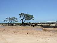 Empty Beach  to the North of Maceio