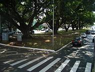 Bela Avenida Afonso Pena