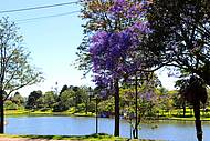 A beleza das cores da natureza em Guarapuava PR