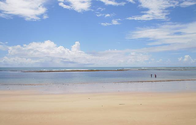 Praia pela manh, na mar baixa