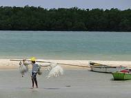 Passeio de canoa pelo manguezal