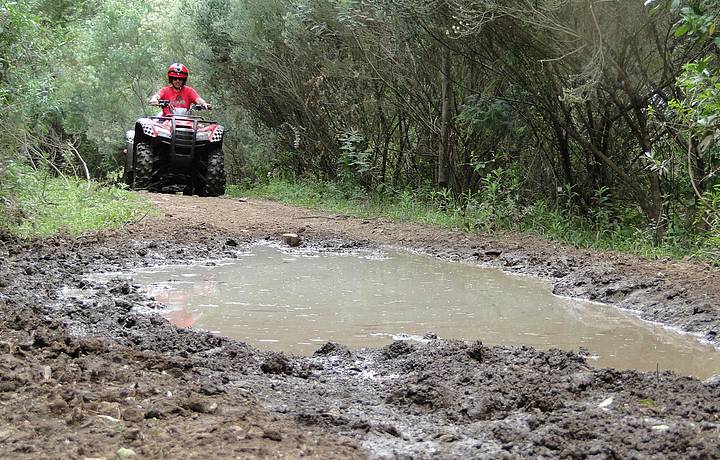 Adrenalina garantida nos passeios de quadriciclo