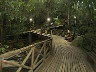 Passeio em Passarelas de Madeira