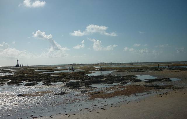 Essa mar baixa me encanta