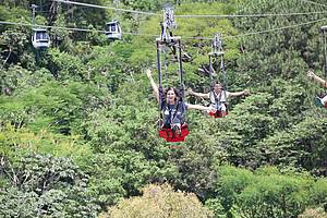 Arvorismo, tren e ZipRider no Parque Unipraias