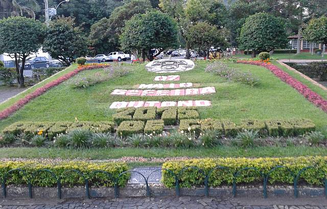 Calendrio floral