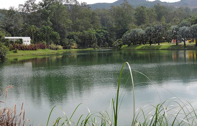 Lago no parque