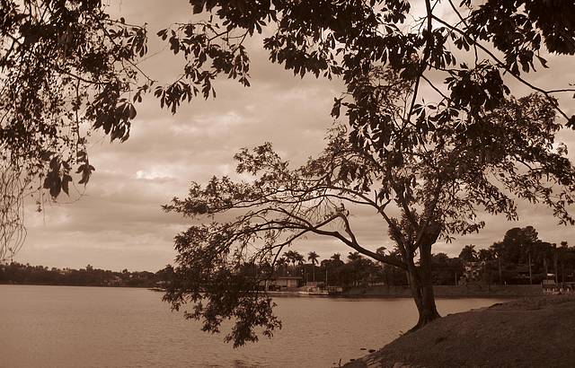 Lagoa da Pampulha