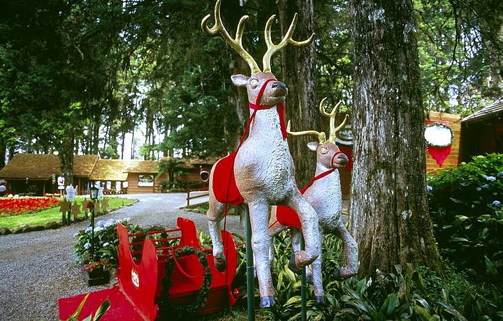 A magia do Natal marca presena o ano todo