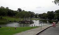 Parque 1